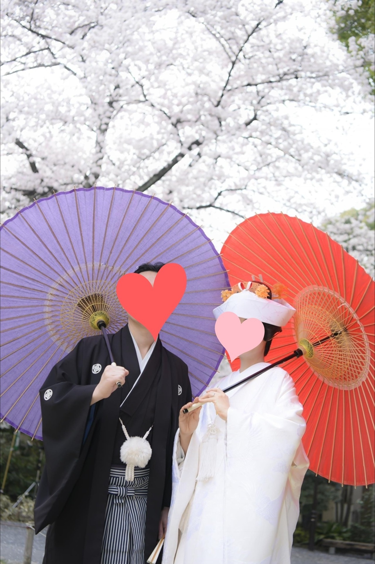 ご成婚者様